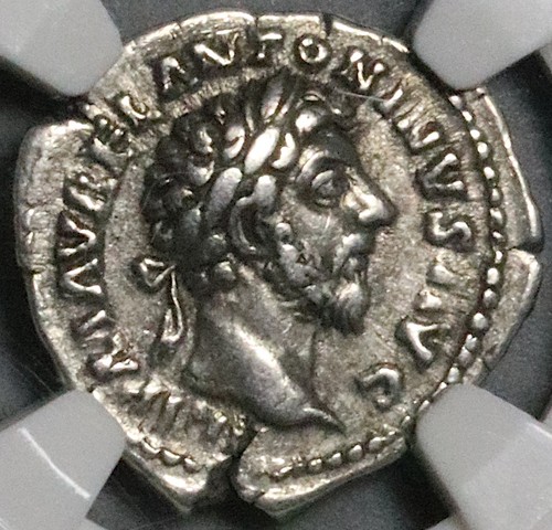 161 ngc marcus - ngc, vf
