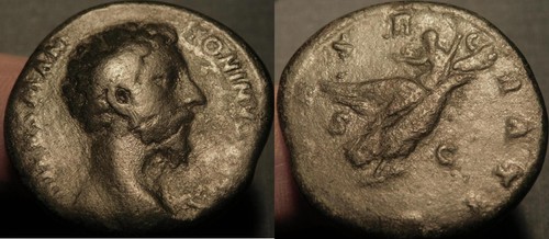 Mortown divus marcus aurelius - marcus,