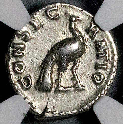 176 ngc faustina jr - 176,